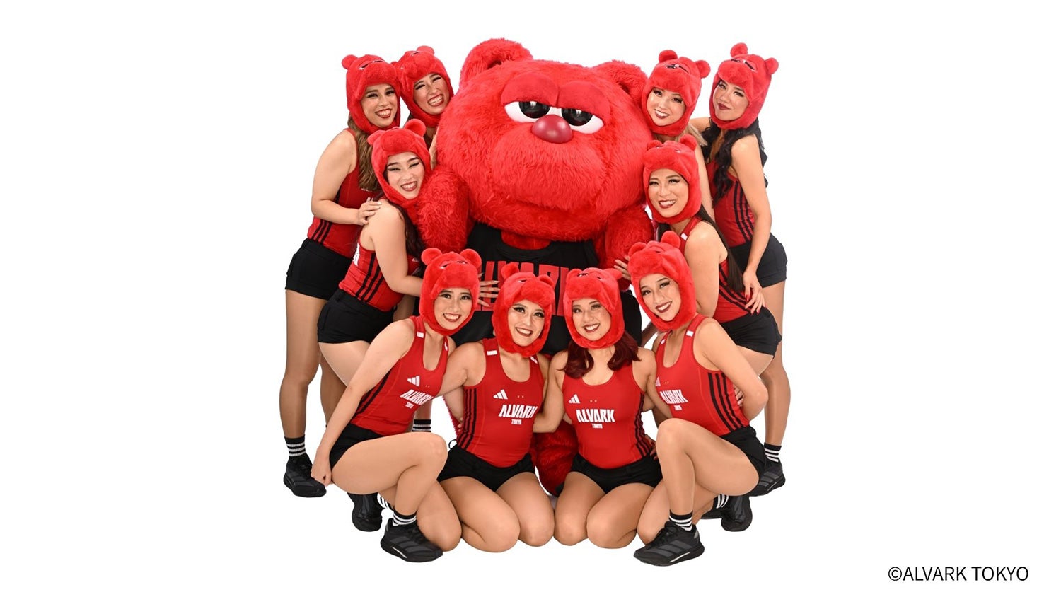 フォトギャラリー