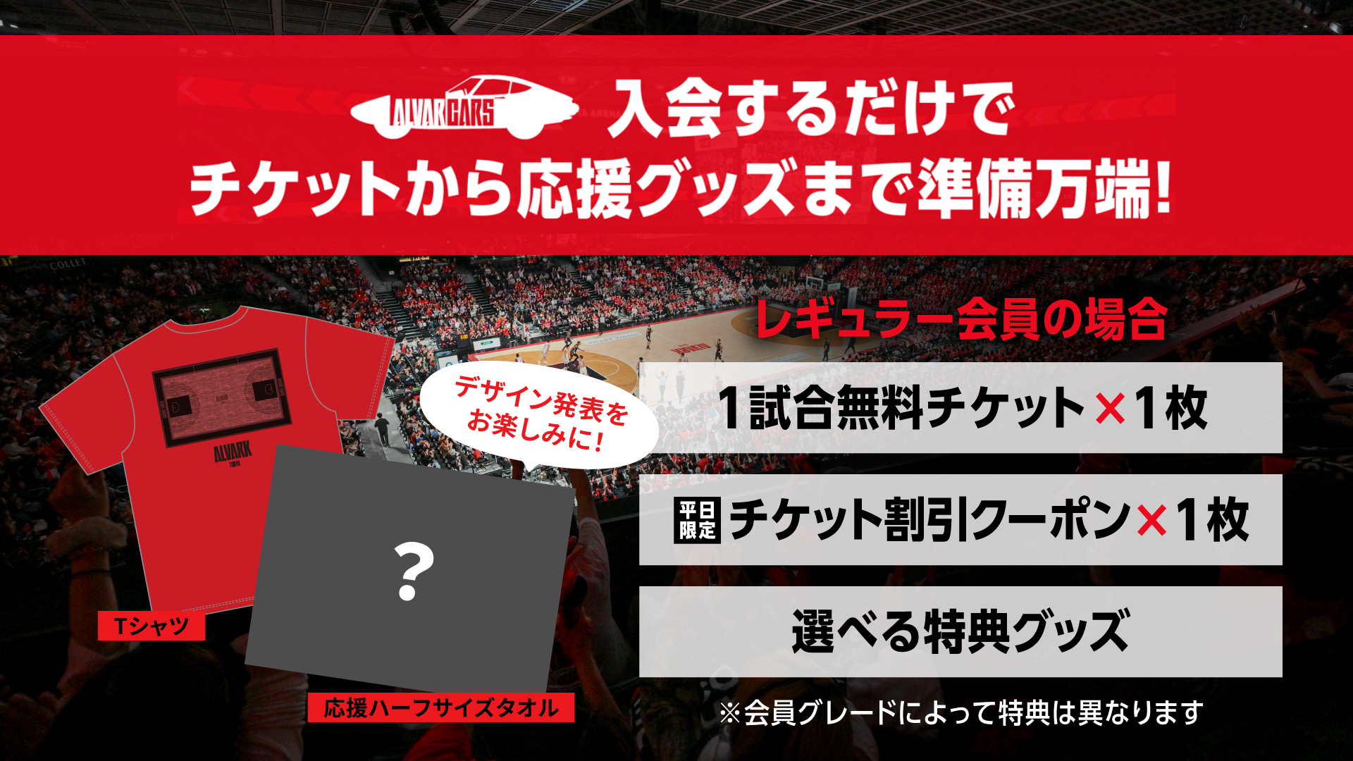 アルバルク東京ファンクラブ「ALVARCARS」
